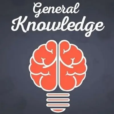 Stikla logu plēves ražošanas process